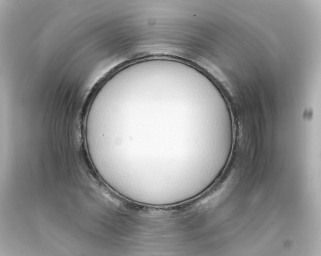 X0000093150782200710241402