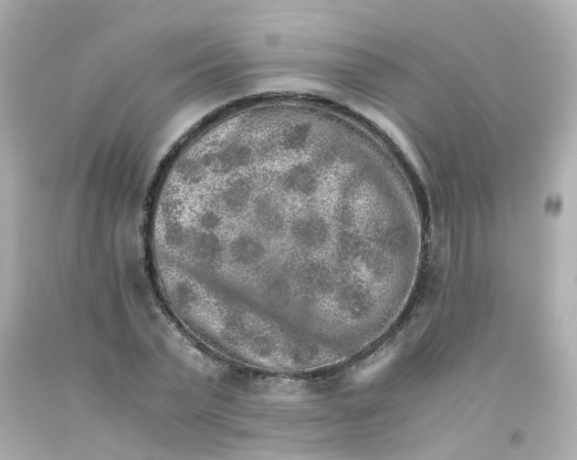 X0000093150783200710241402