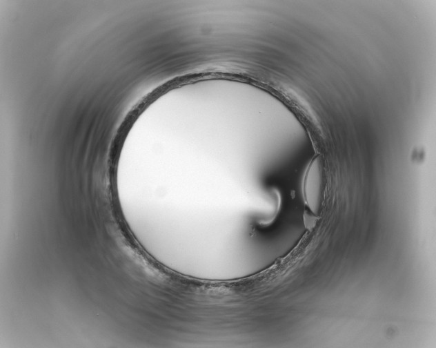 X0000093150784200710241402