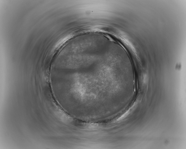 X0000093150785200710241402