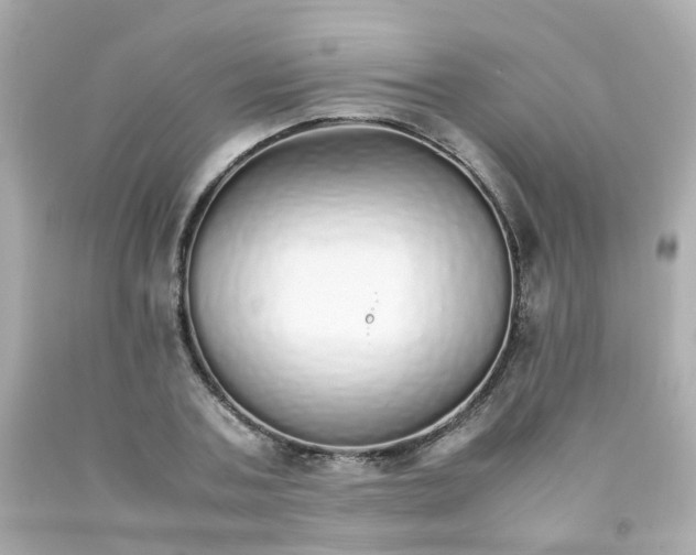 X0000093150787200710241402