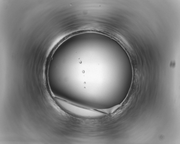 X0000093150788200710241402