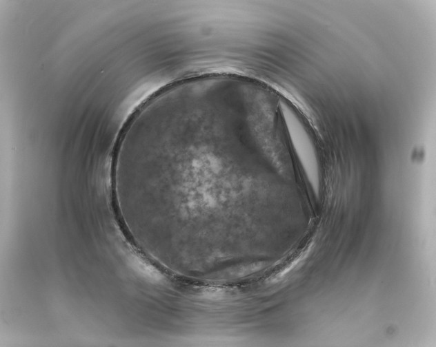 X0000093150790200710241402