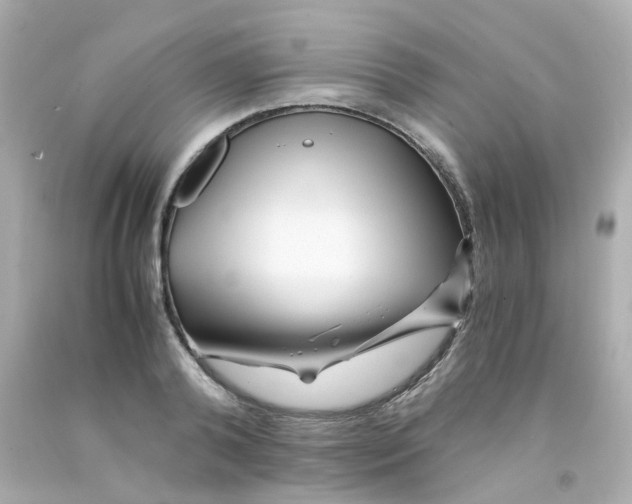 X0000093150792200710241402