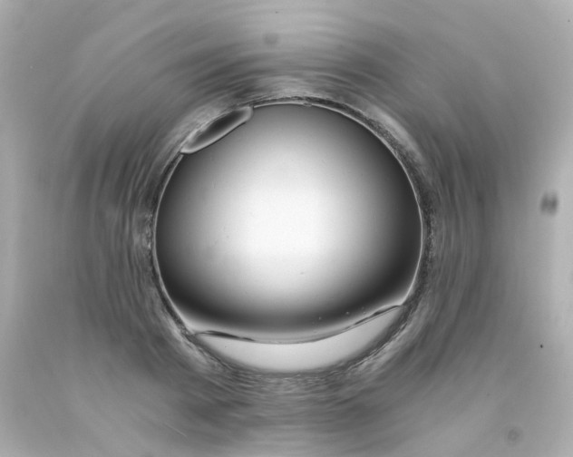 X0000093150793200710241402