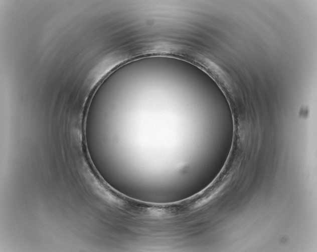 X0000093150794200710241401