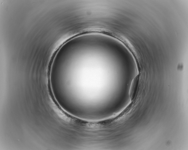 X0000093150795200710241401