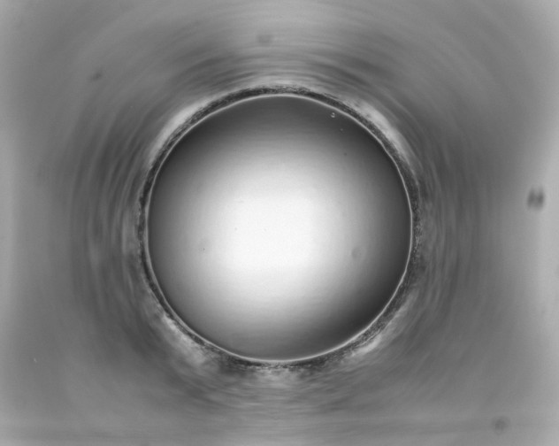 X0000093150799200710241401