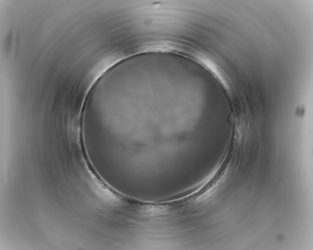 X0000093150802200710241401