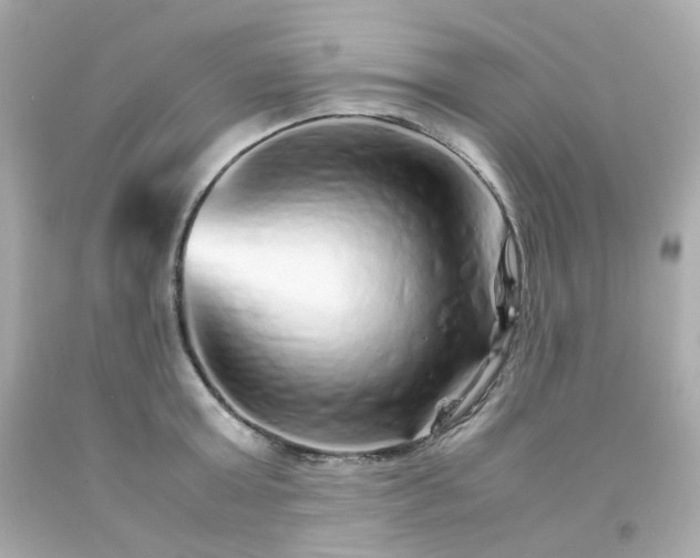 X0000093150803200710241401