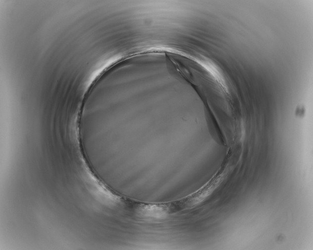 X0000093150806200710241401