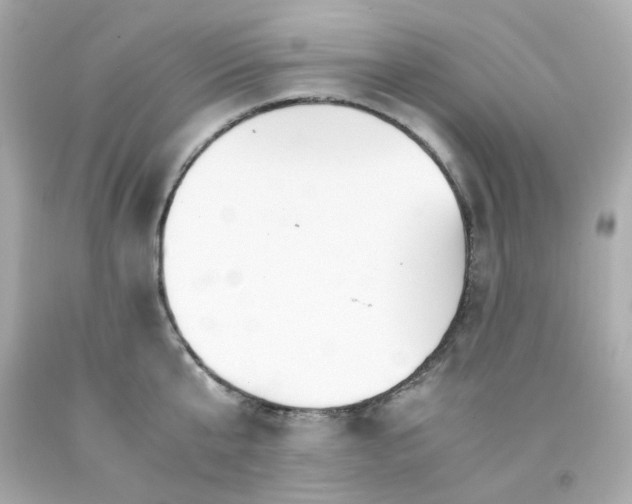 X0000093150807200710241401