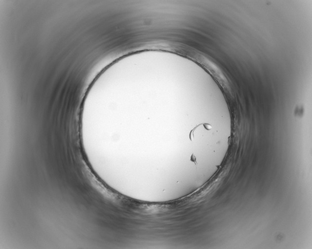 X0000093150808200710241401