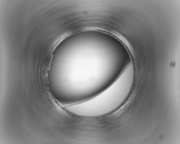 X0000093150809200710241401