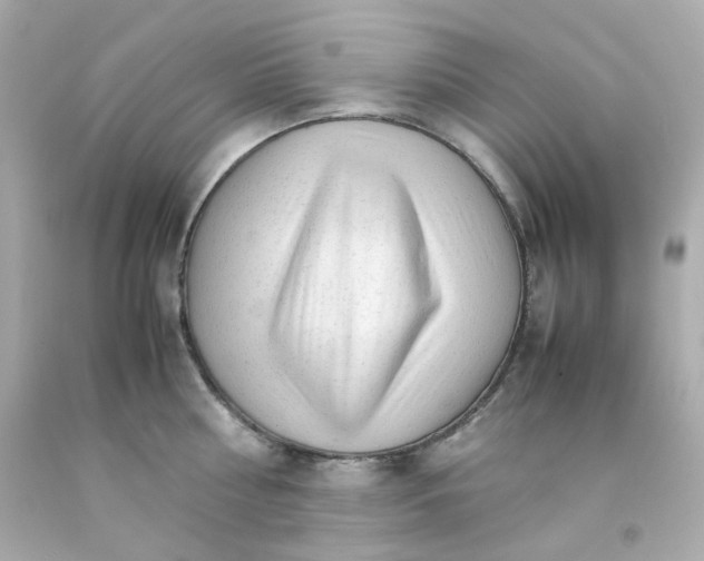 X0000093150810200710241401