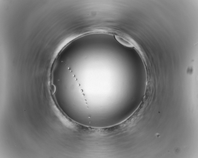 X0000093150811200710241401