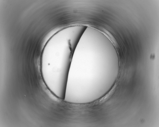 X0000093150812200710241401