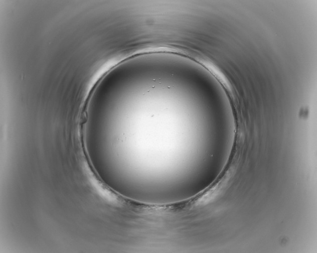 X0000093150813200710241401