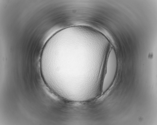 X0000093150814200710241401