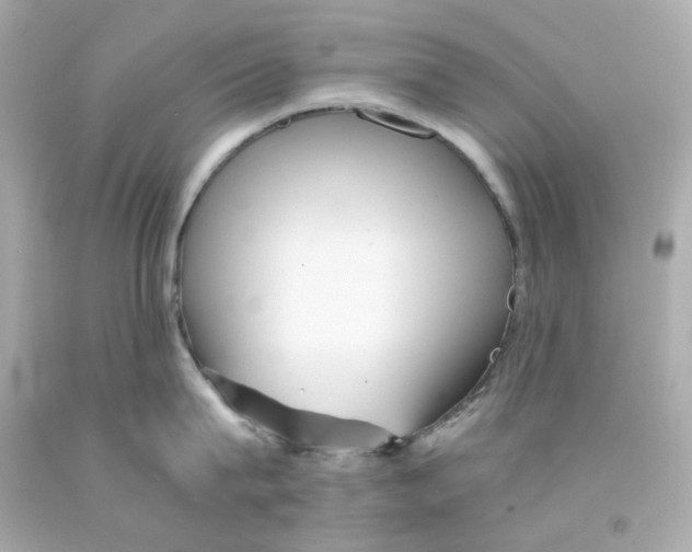 X0000093150815200710241401