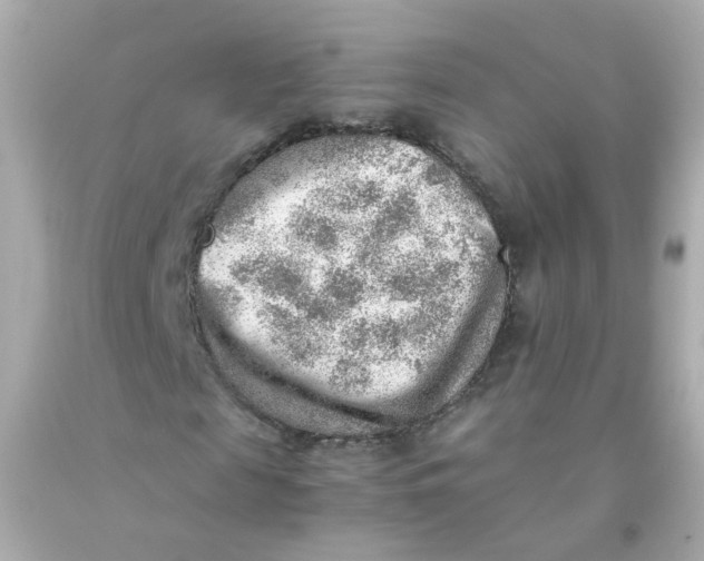 X0000093150817200710241401