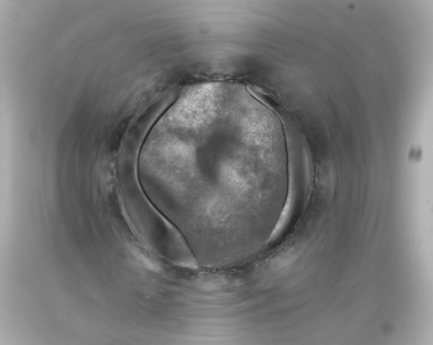 X0000093150818200710241401