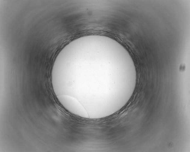 X0000093150820200710241401