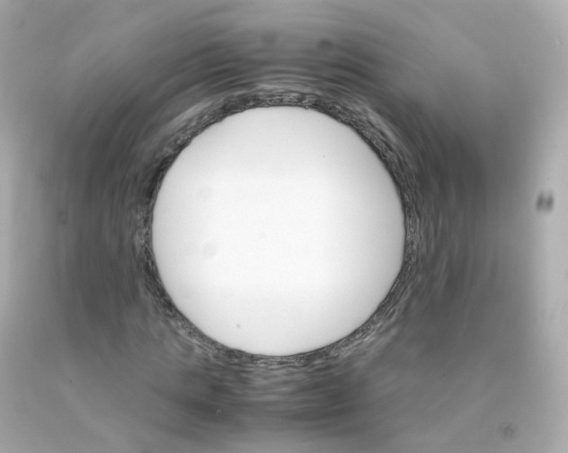 X0000093150821200710241401