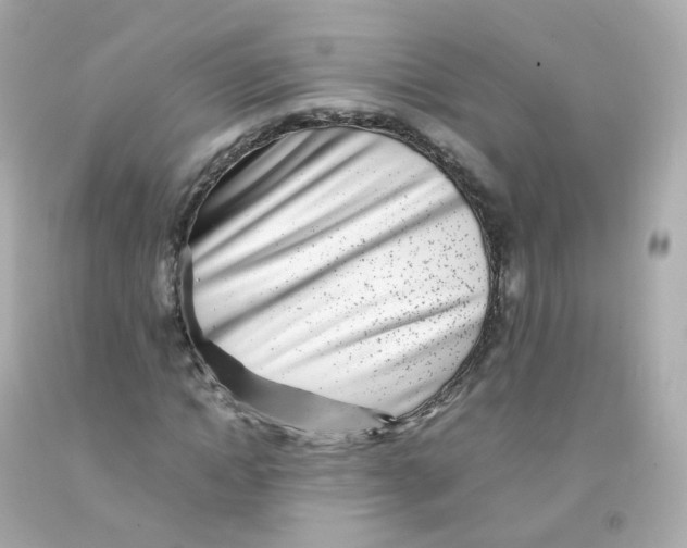 X0000093150822200710241401