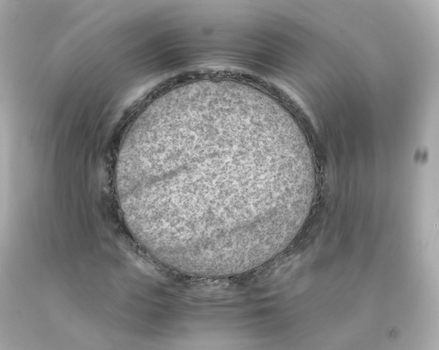 X0000093150823200710241401