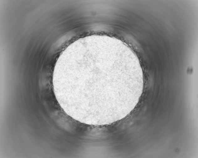 X0000093150824200710241401