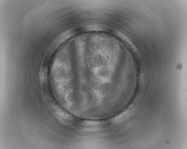 X0000093150825200710241401