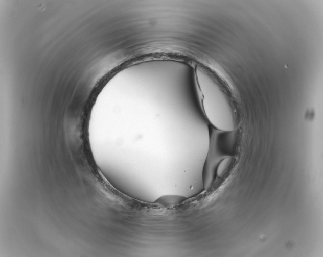 X0000093150826200710241401