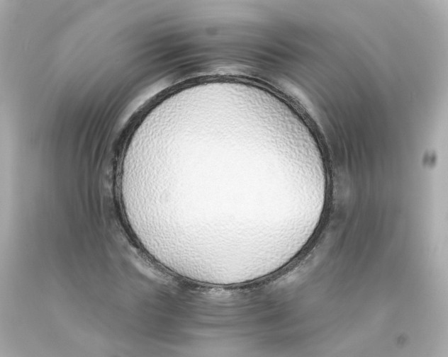 X0000093150827200710241401