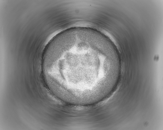 X0000093150829200710241401