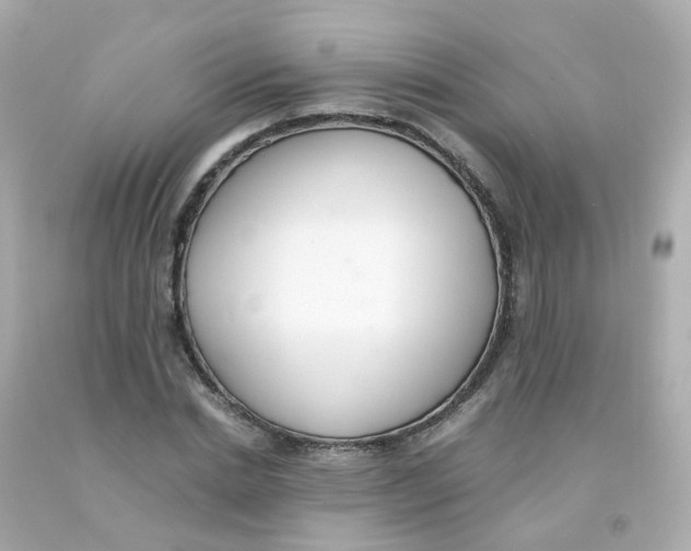 X0000093150830200710241401