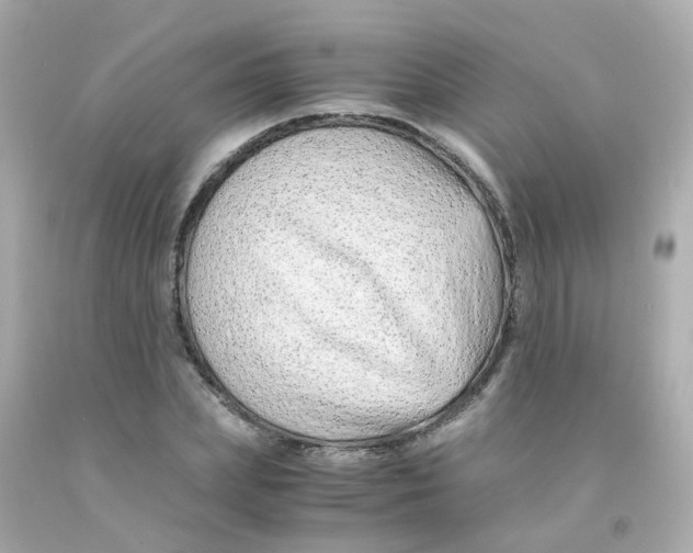 X0000093150831200710241401