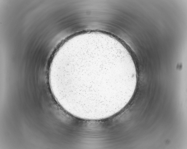 X0000093150832200710241401