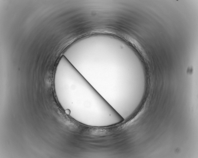 X0000093150833200710241401