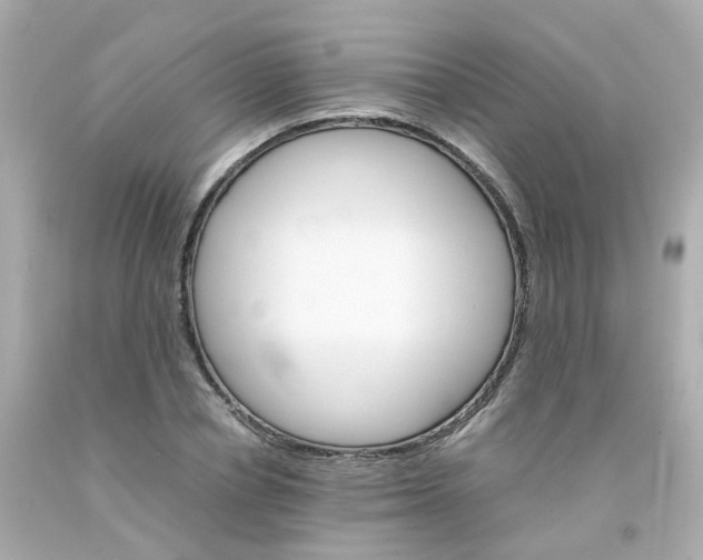 X0000093150834200710241401