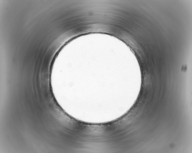 X0000093150836200710241401