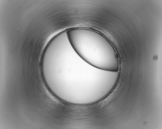 X0000093150838200710241401