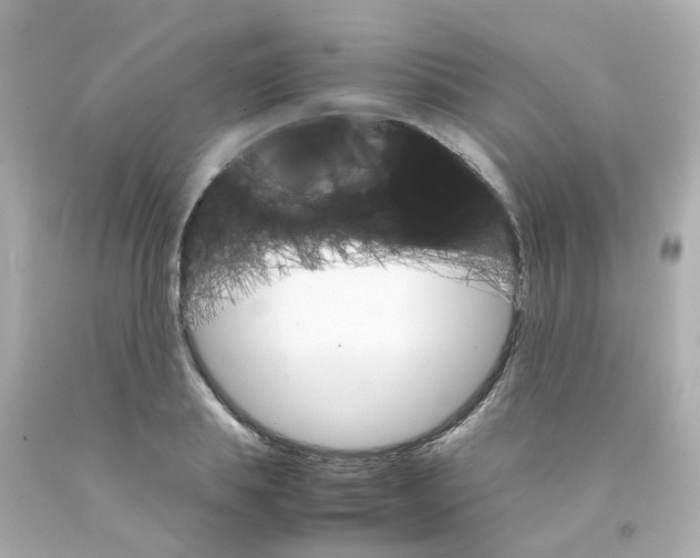 X0000093150839200710241401