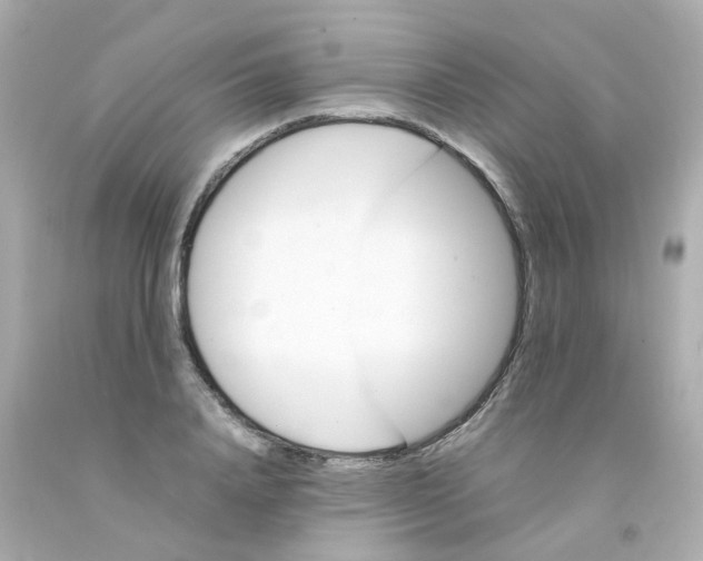 X0000093150840200710241401