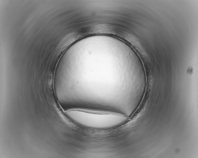 X0000093150841200710241401