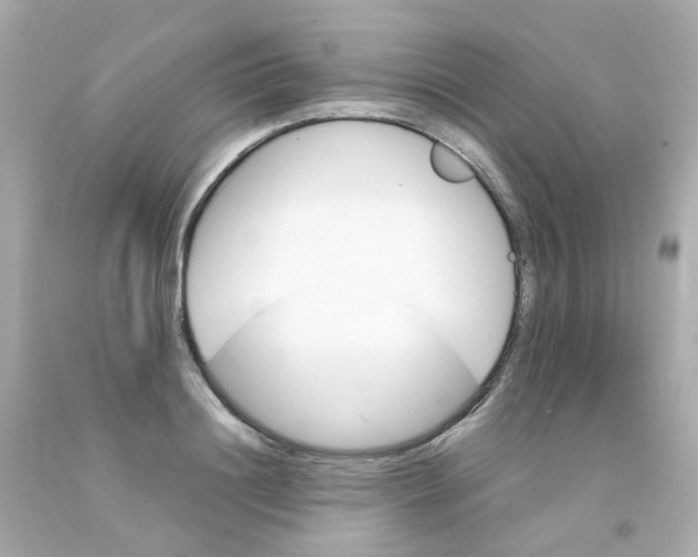 X0000093150844200710241401