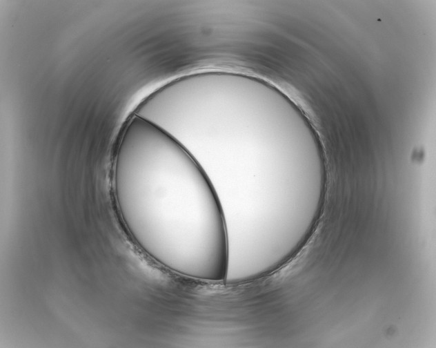 X0000093150846200710241401