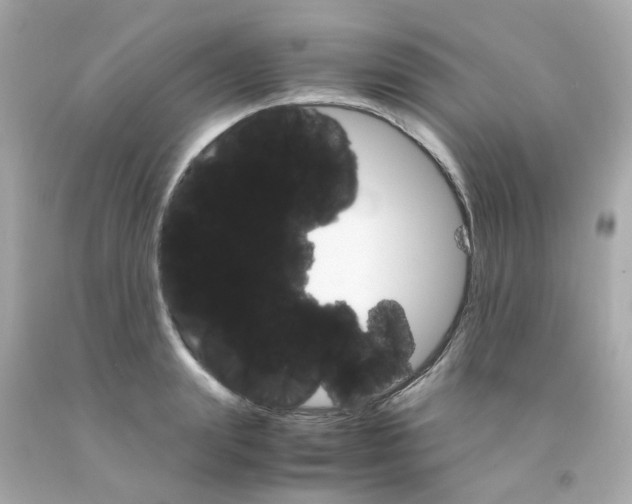 X0000093150847200710241401