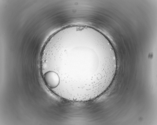 X0000093150848200710241401