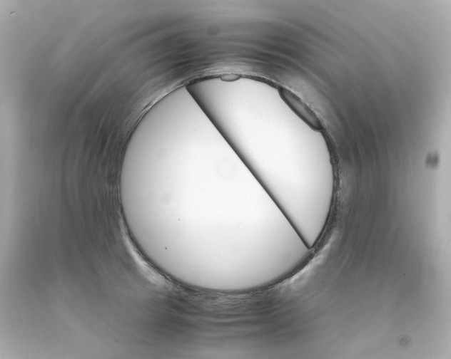 X0000093150849200710241401